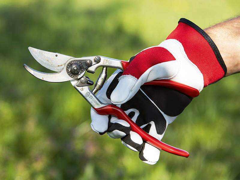 Handschoen Felco 702 maat M, rundleder met spandex rugzijde