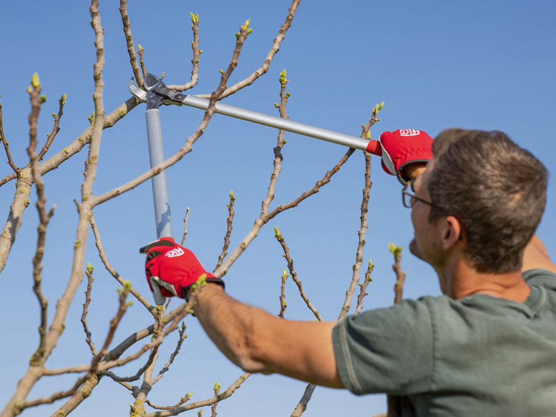 Handschoen Felco 702 maat L, rundleder met spandex rugzijde