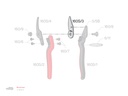 Bovenmes Felco 160S/3 voor snoeischaar no. 160S