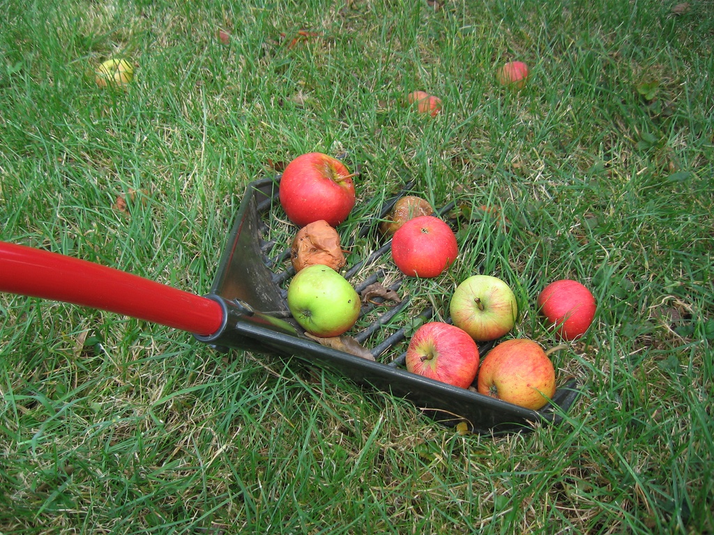 Golden Gark XXL rood 28 tands 61 cm, gebogen aluminium steel en D-greep (ongemonteerd)