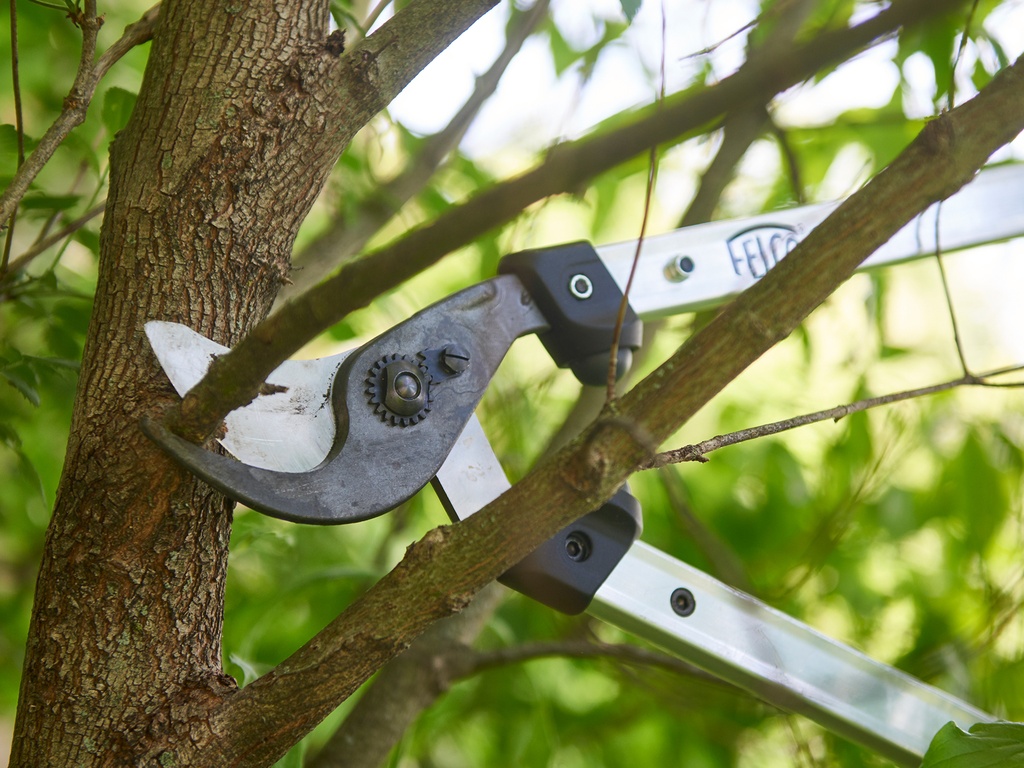 Takkenschaar FELCO 211-60, lengte 60 cm, gekromde snijkop, knipt tot 35 mm