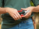 Stekschaar - Oogstschaar FELCO 321, rechte korte bek, lengte 177 mm