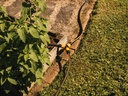 FISKARS Druppelslang 13 mm (1/2”) 15 meter On/Off