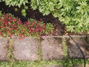 FISKARS Druppelslang 13 mm (1/2”) 15 meter On/Off