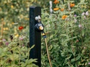 FISKARS Watertimer met enkele uitlaat