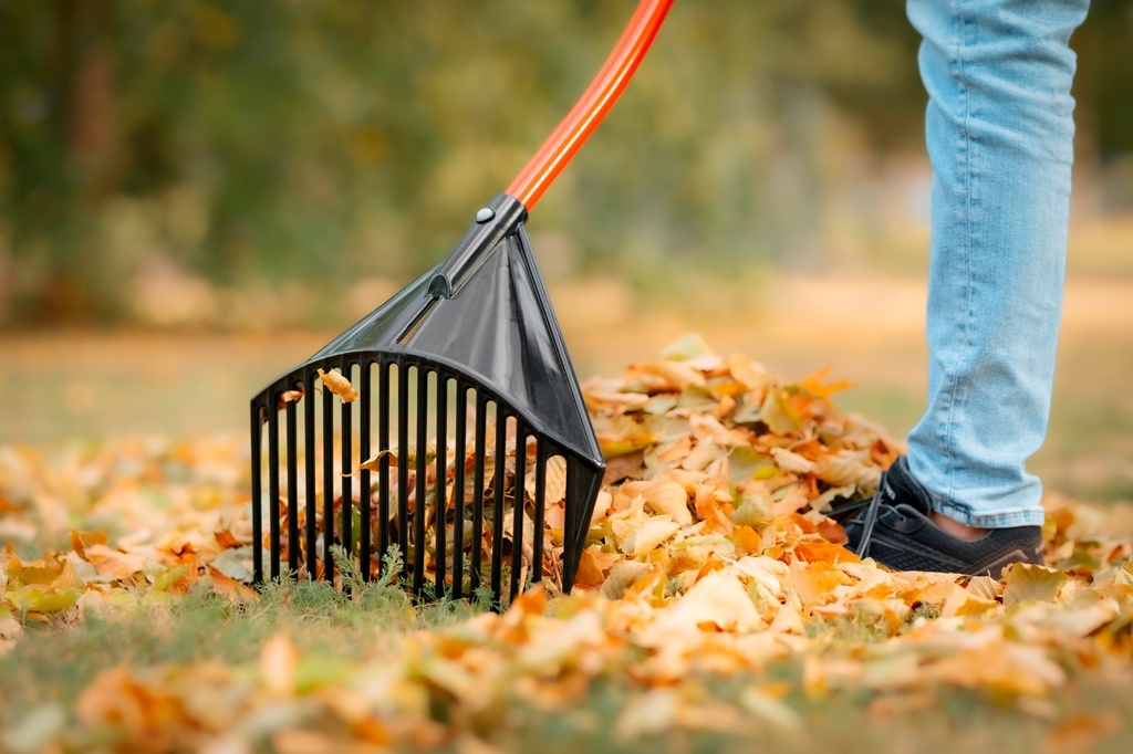 Golden Gark rood 18 tands 35 cm, gebogen aluminium steel en D-greep