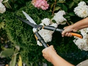 FISKARS OneClick Heggenschaar, bladlengte 25 cm, met golfsnede