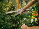 FISKARS OneClick Krabber - Cultivator 3 tands
