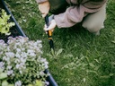 FISKARS OneClick Onkruidsteker - Paardenbloemsteker