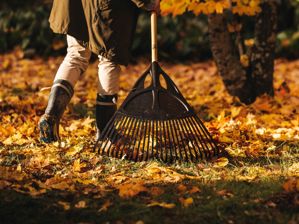 Bladhark FISKARS Solid XL, 65 cm breed, met gelakte ESSEN steel