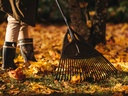 Bladhark FISKARS Solid XL, 65 cm breed, met aluminium steel