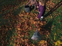Bladhark FISKARS Solid XL, 65 cm breed, met aluminium steel