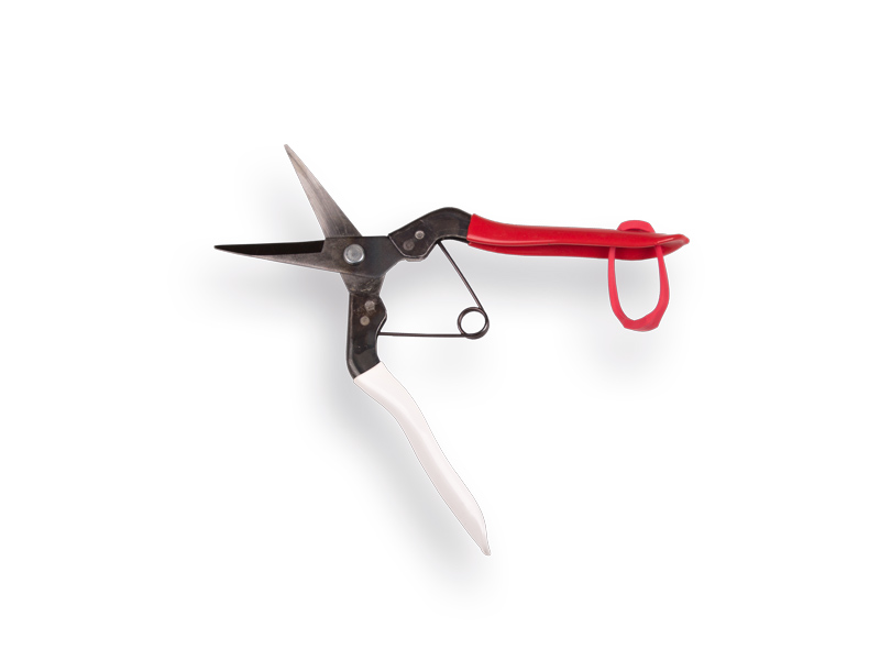 Cutting shears - Harvest shears OKATSUNE 304, straight long blade, length 190 mm